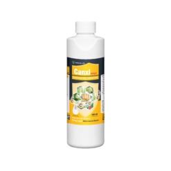 CANXI (500ml) - Chống nứt trái, thối đít trái, vỏ mịn, da sáng bóng