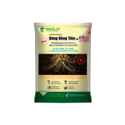 ĐÁNG ĐỒNG TIỀN (1kg) - Ra rễ cực nhanh, cây cực sung, lá dày xanh mượt, phóng tược cực mạnh