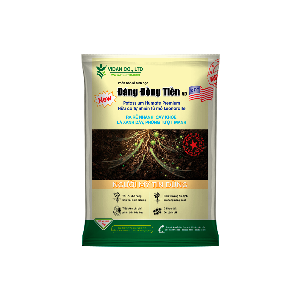 ĐÁNG ĐỒNG TIỀN (1kg) - Ra rễ cực nhanh, cây cực sung, lá dày xanh mượt, phóng tược cực mạnh