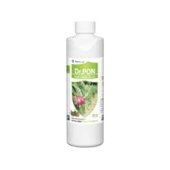 DR.PON (500ml) - Vuốt tai thanh long