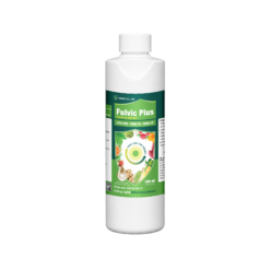 FULVIC PLUS (500ml) - Chuyên gia nuôi trái, lớn trái, bóng da, nặng ký