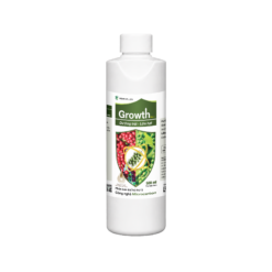 GROWTH (500ml) - Dưỡng trái, lớn hạt
