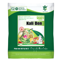 KALI ĐEN (500g) - Trái lớn, chín đều, chắc ruột, nặng ký, lên màu đẹp, năng suất cao