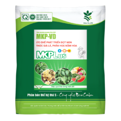 MKP PLUS (1kg) - Ức chế phát triển đọt non, thúc già lá, phân hóa mầm hoa