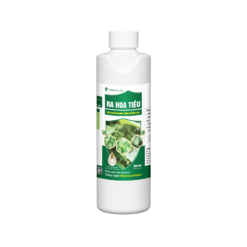 RA HOA TIÊU (500ml) - Kích vọt hoa nhanh, bung gié đồng loạt, chống nghẹn hoa, chai cựa gà, ra hoa lọt sọt