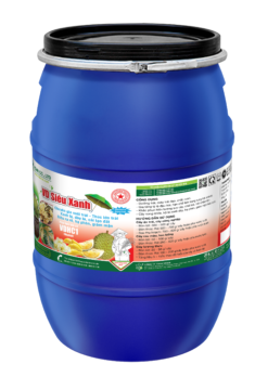 VD SIÊU XANH (28kg) - Trái lớn nhanh, lên màu đẹp, chắc ruột, nặng ký, cây khỏe, trái nhiều, năng suất cao
