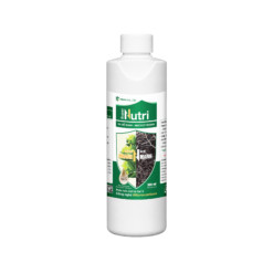 SUPER NUTRI (500ml) - Ra rễ mạnh, phóng chồi nhanh, siêu vọt đọt, tốt cây, xanh lá, dày lá, mập đọt