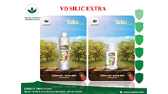 Đặc tính lý hóa Silic – ViDan