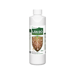 LÂN ĐỎ (500ml)- Bung rễ mạnh, ra hoa nhanh