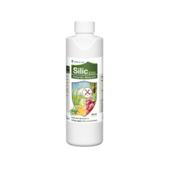 SILIC EXTRA (500ml) – Salt resistance, disease resistance