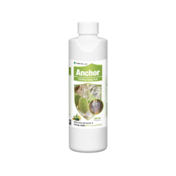 ANCHOR 500ml - Chống rụng trái