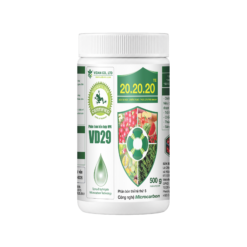 VD 20-20-20 (500g) - Kích ra hoa, chống rụng, thúc lớn trái nhanh