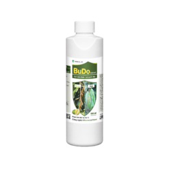 BUDO Extract (500 ml) - Cơi đọt khỏe, lá xanh dày