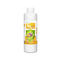 BIG EXTRA (500ml) - Extremely large fruit