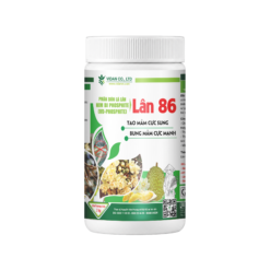 Lân 86 (1kg) Tạo mầm hoa, Bung mầm cực mạnh